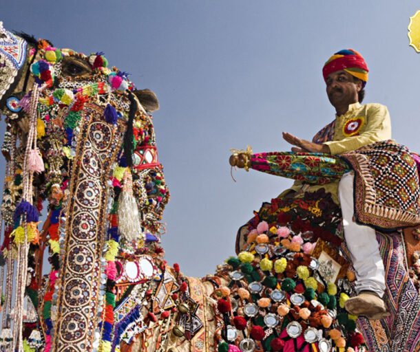 Camel Fair